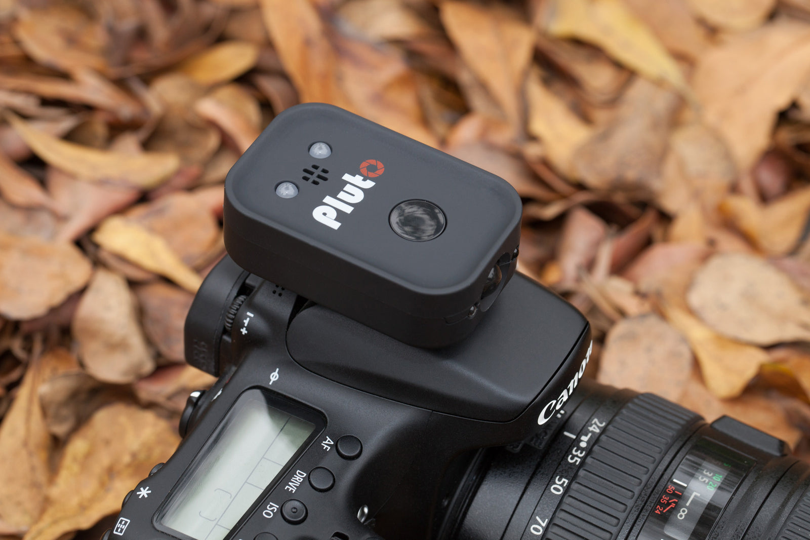 Some Interesting Features of Pluto Trigger